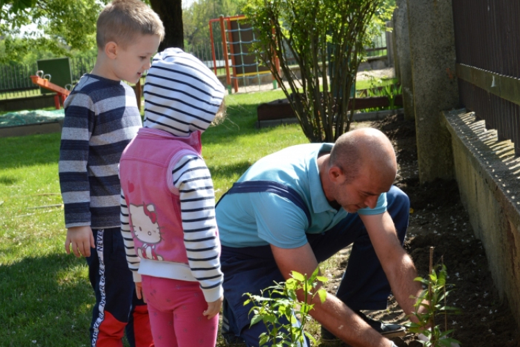 Az óvodások bokrokat ültettek a Madarak és a Fák Napja alkalmából