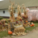 Idén is számos érdeklődőt vonzott a Mezgé piknik