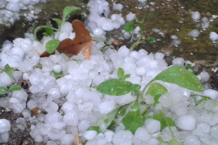 Hamarosan indul a jégeső elleni védekezés