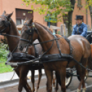 Nem számított az eső sem a szüreti felvonulóknak