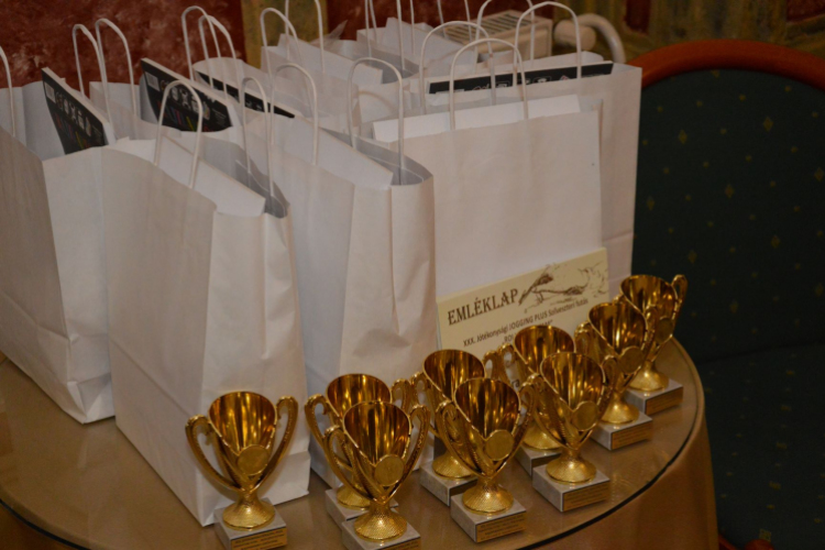 Kupát és oklevelet kaptak a szilveszteri rajzpályázat nyertesei