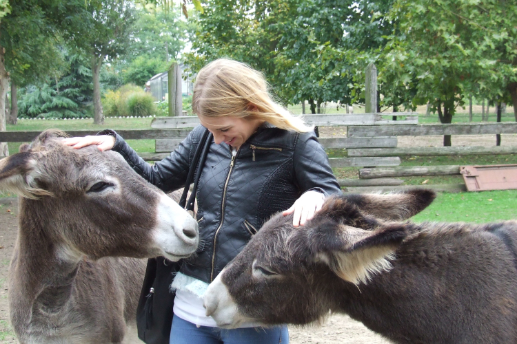 Piknik a Tangazdaságban