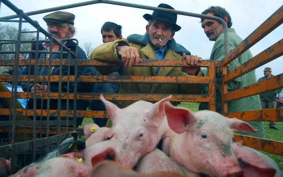 Ami agrár az olcsóbb, mint egy éve