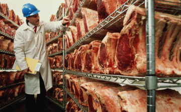 Bejelentési kötelezettség a kockázatos élelmiszerek ellenőrzésére