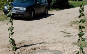 Elfogyott a bója Tiszaalpáron