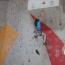 Magyar Hegy- és Sportmászó Szövetség Falmászó Versenyének Bajnoki Fordulója