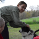 Családi délutánt rendeztek a Gyepmesteri Telepen