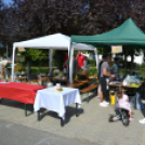 Kreatív ízek és hagyományos receptek találkoztak a Libafesztivál főzőversenyén