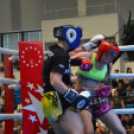 Küzdősport Gála a KÉSZ Arénában