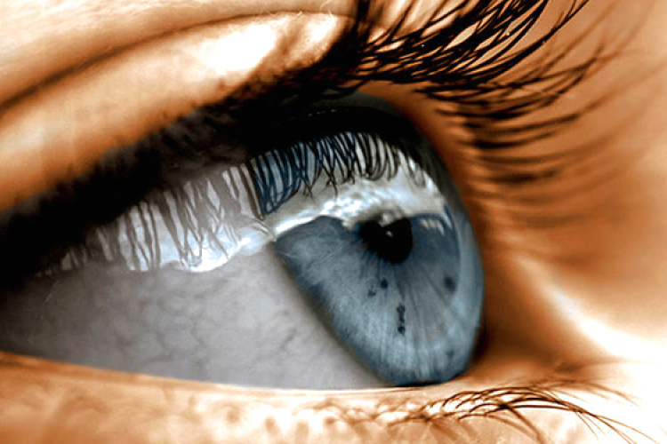 Gyógynövények szembetegségekre