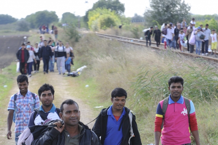 Illegális bevándorlás - a szolidaritás azt jelenti, hogy megvédjük határainkat