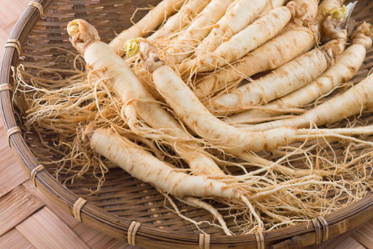 Ginzeng - egy gyökér sokféle bajra!