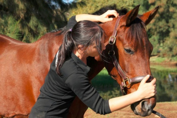Mezőgazdasági pályaorientációs hetet szervez a Nemzeti Agrárgazdasági Kamara
