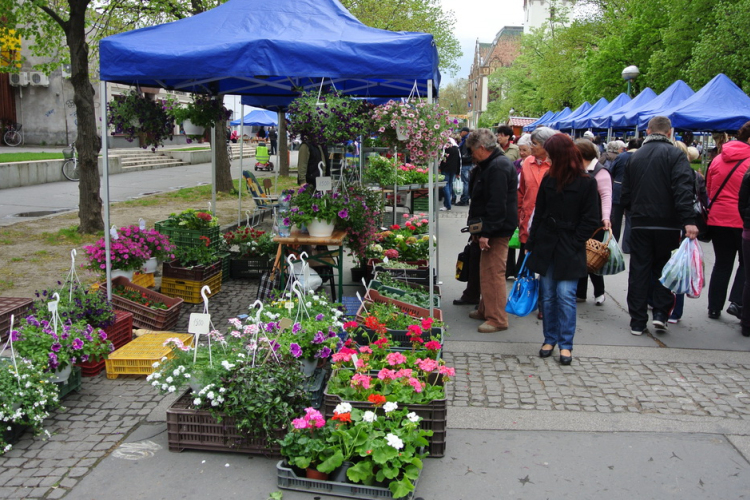 Idén is sok érdeklődő vett részt a virágünnepen