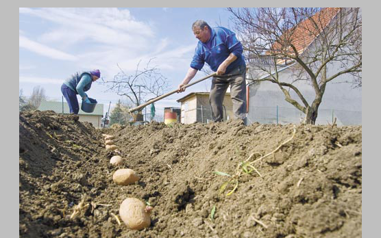 Zártkertje van? Figyeljen, mert pénzt szerezhet!
