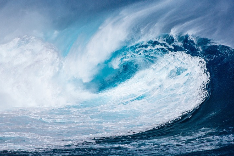 Hihetetlen, hogy mit használt mentőövként egy német hajótörött a Csendes-óceánon