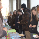 Közel másfél millió forint gyűlt össze Izabella és Lilla gyógykezelésére