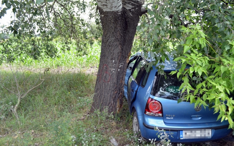 Árokban sodródott és fának csapódott egy autó