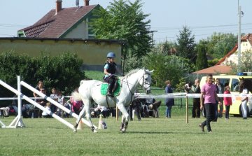 Lovasverseny lesz a Vasas-pályán