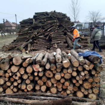 Szociális faosztás Petőfiszálláson