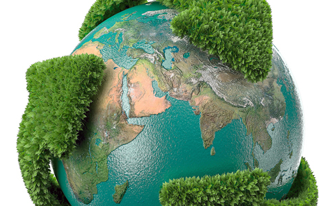 Razziázott az országos zöldhatóság