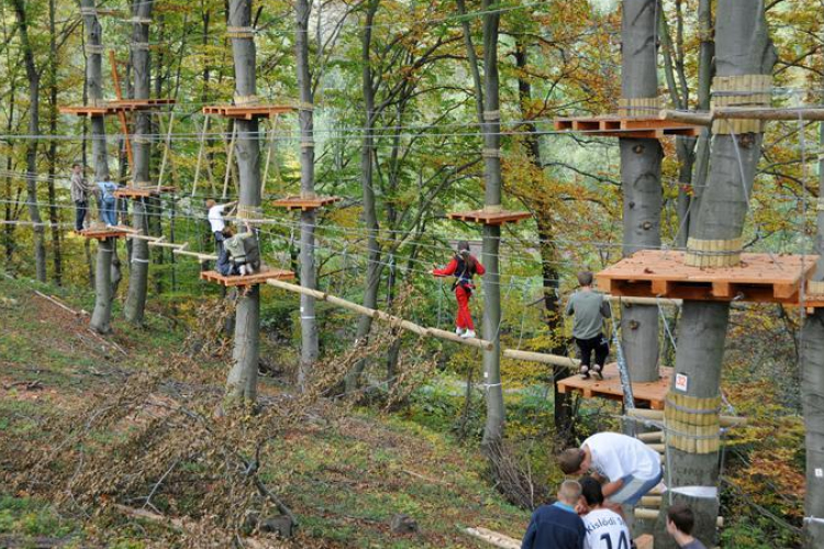 Irány a kalandpark!