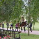 Országos Amatőr Gyermek Ügyességi és Díjugrató Verseny