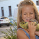 Kezdetét vette a Libafesztivál Kiskunfélegyházán