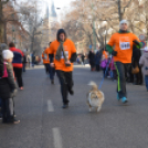 Rengetegen indultak az év utolsó futóversenyén