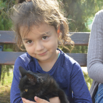 Családi napot tartottak a Csólyi úti menhelyen