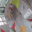 Magyar Hegy- és Sportmászó Szövetség Falmászó Versenyének Bajnoki Fordulója