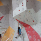 Magyar Hegy- és Sportmászó Szövetség Falmászó Versenyének Bajnoki Fordulója