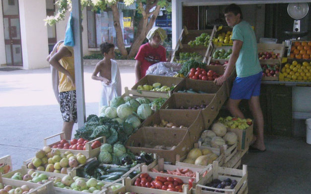 Vehetünk-e gyümölcsöt az út mentén?
