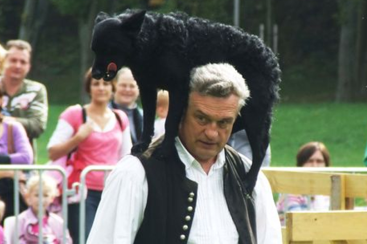 Magyar Pásztorkutyák Találkozója Bugacon