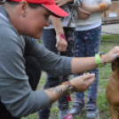 Családi délutánt rendeztek a Gyepmesteri Telepen