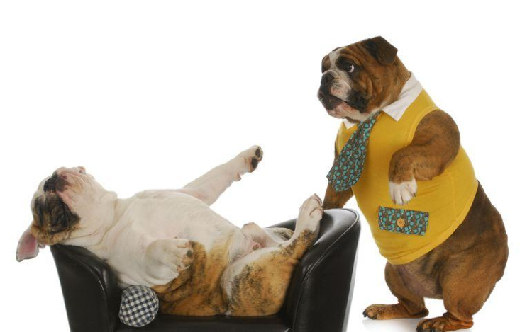 Megváltanád a világot? Csak óvatosan!