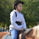 Tömegeket vonzott a Mezgé piknikje a tangazdaságba