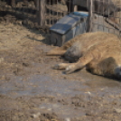 Pályaorientációs napot tartottak a Mezgében