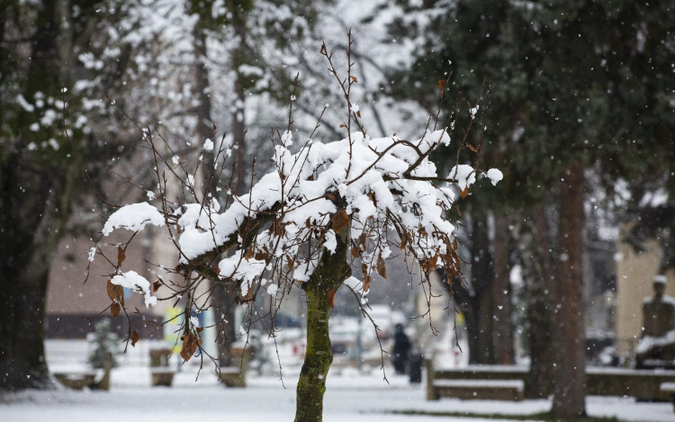 Jövő hét elejére országszerte megérkezhet a tél