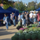 Őszi virágünnep Kiskunfélegyházán