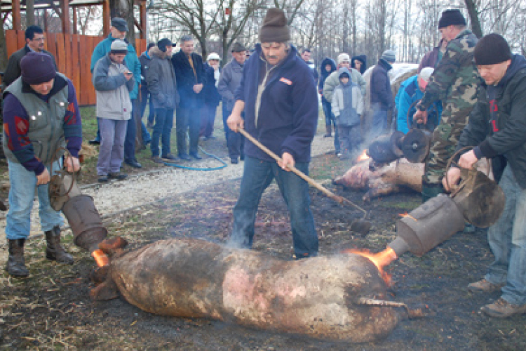 A falu disznóvágása