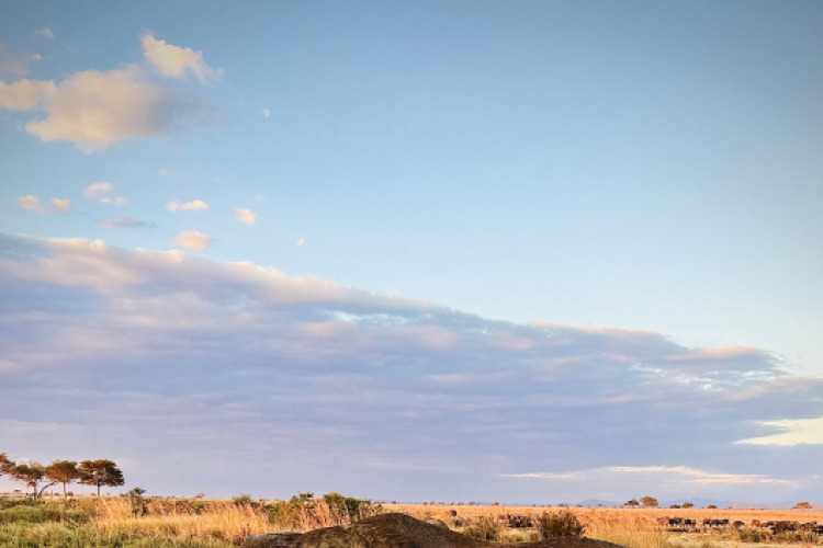 Tanzánia - a nyomor és a luxus két arca