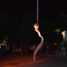 Varázskert nyílt a lombok árnyékában