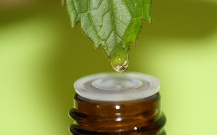 A teafaolaj 10 felhasználási módja