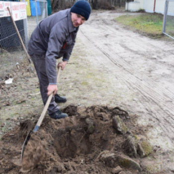 Folyamatosan szépül Petőfiszállás