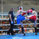 Küzdősport Gála a KÉSZ Arénában