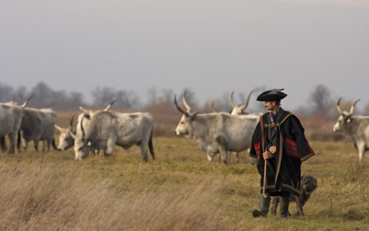 11,5 milliárd a világörökségre