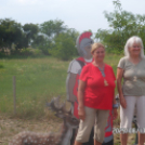 A Turul Koppányok augusztusa