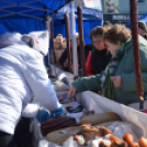 Régmúlt idők disznóvágási hangulatát idézték fel a városközpontban