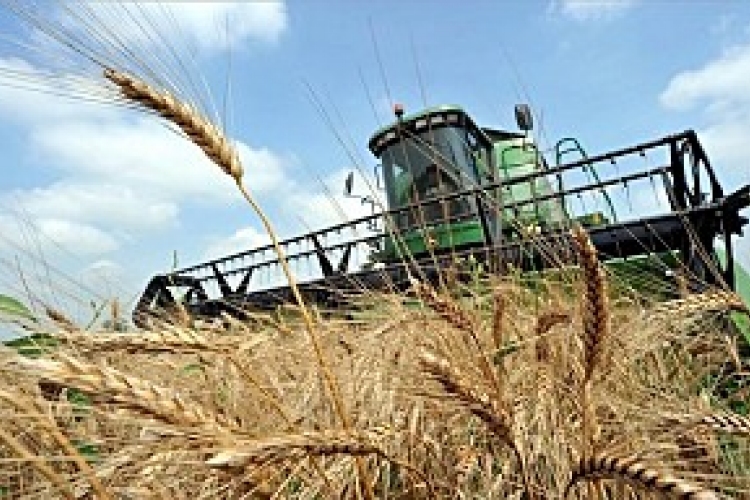 A kormány kiemelt figyelmet fordít a mezőgazdasági kárenyhítésre